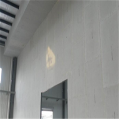 灵台新型建筑材料掺多种工业废渣的ALC|ACC|FPS模块板材轻质隔墙板